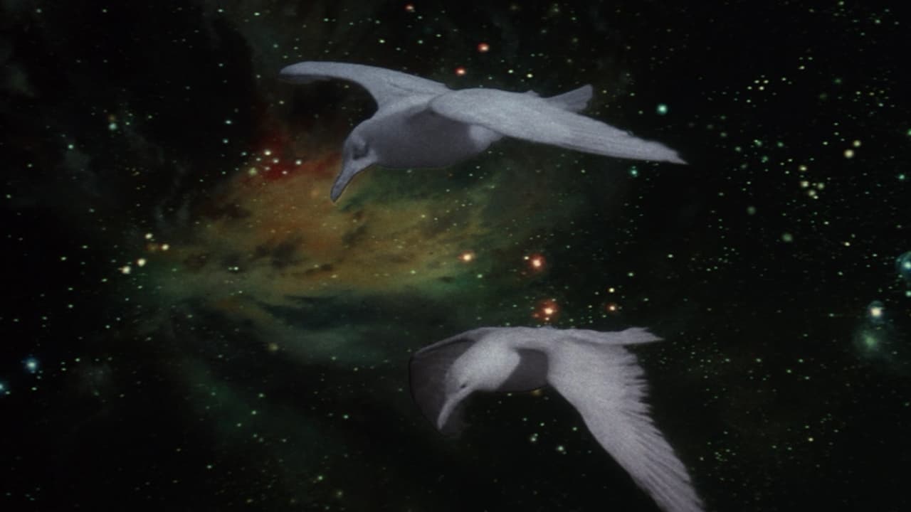 Martı Jonathan Livingston