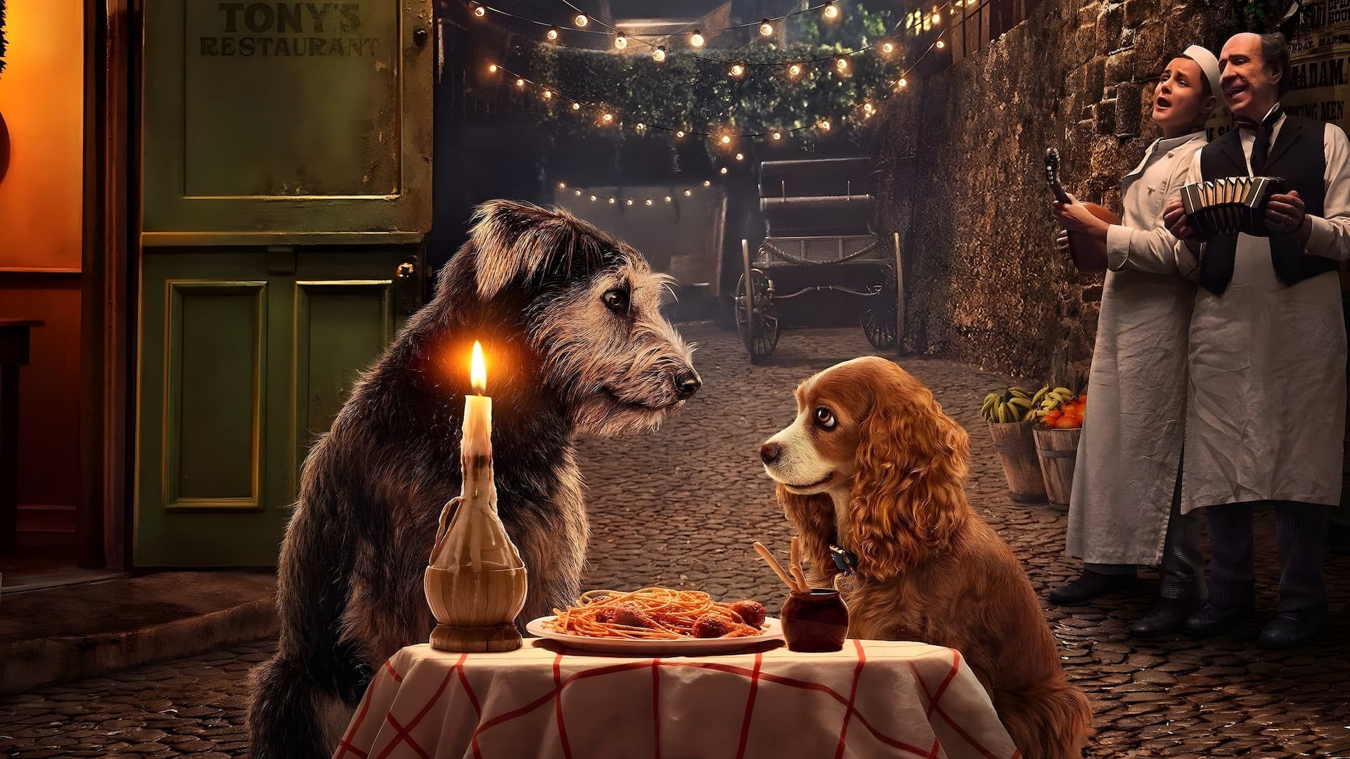 Lady ile Sokak Köpeği