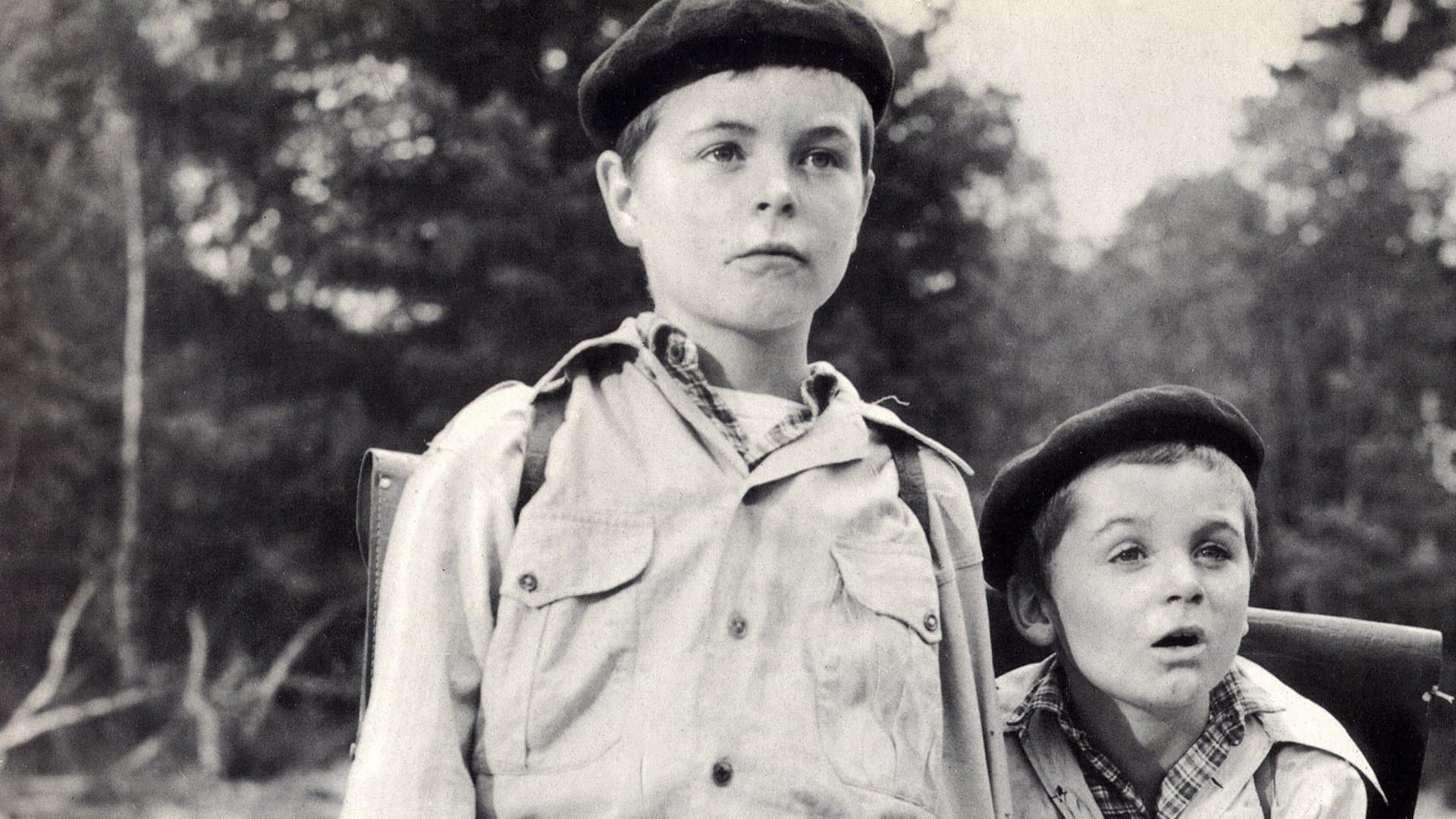 Yumurcakların Savaşı