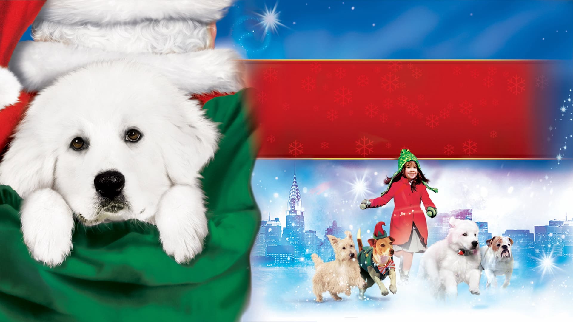 Yeni Yıl Köpekleri'nin Peşinde