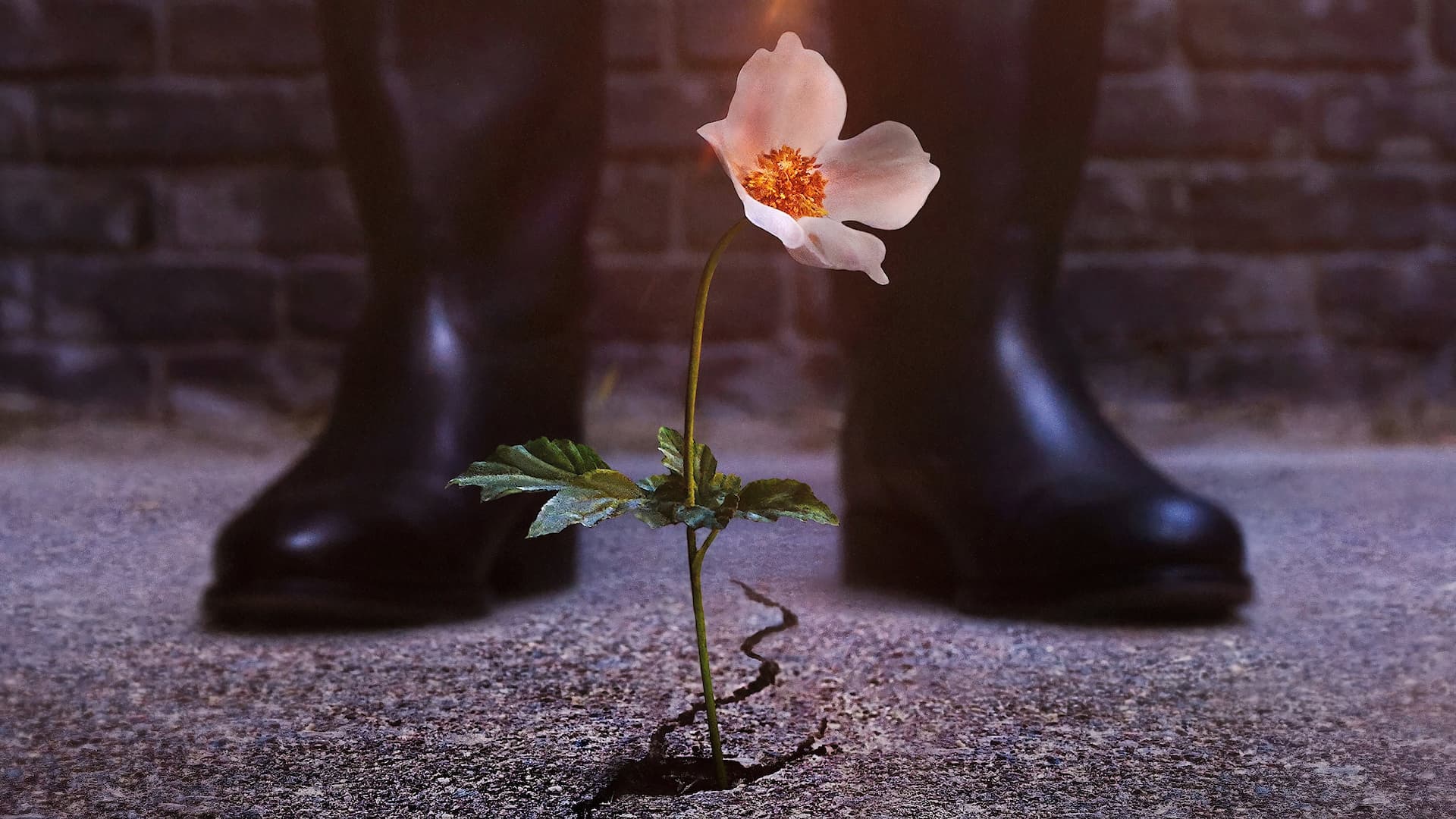 Yüksek Şatodaki Adam