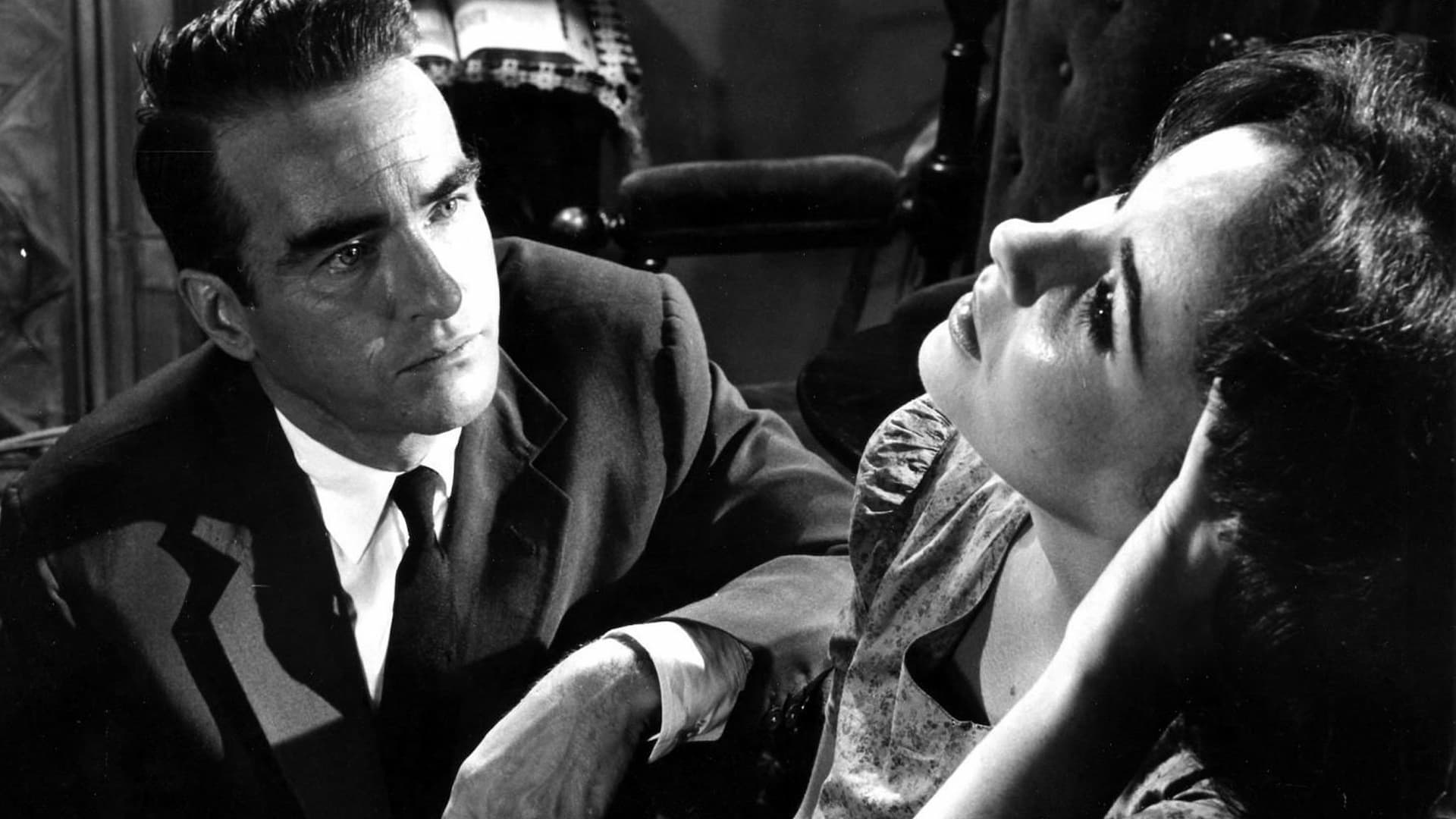 Suddenly, Last Summer