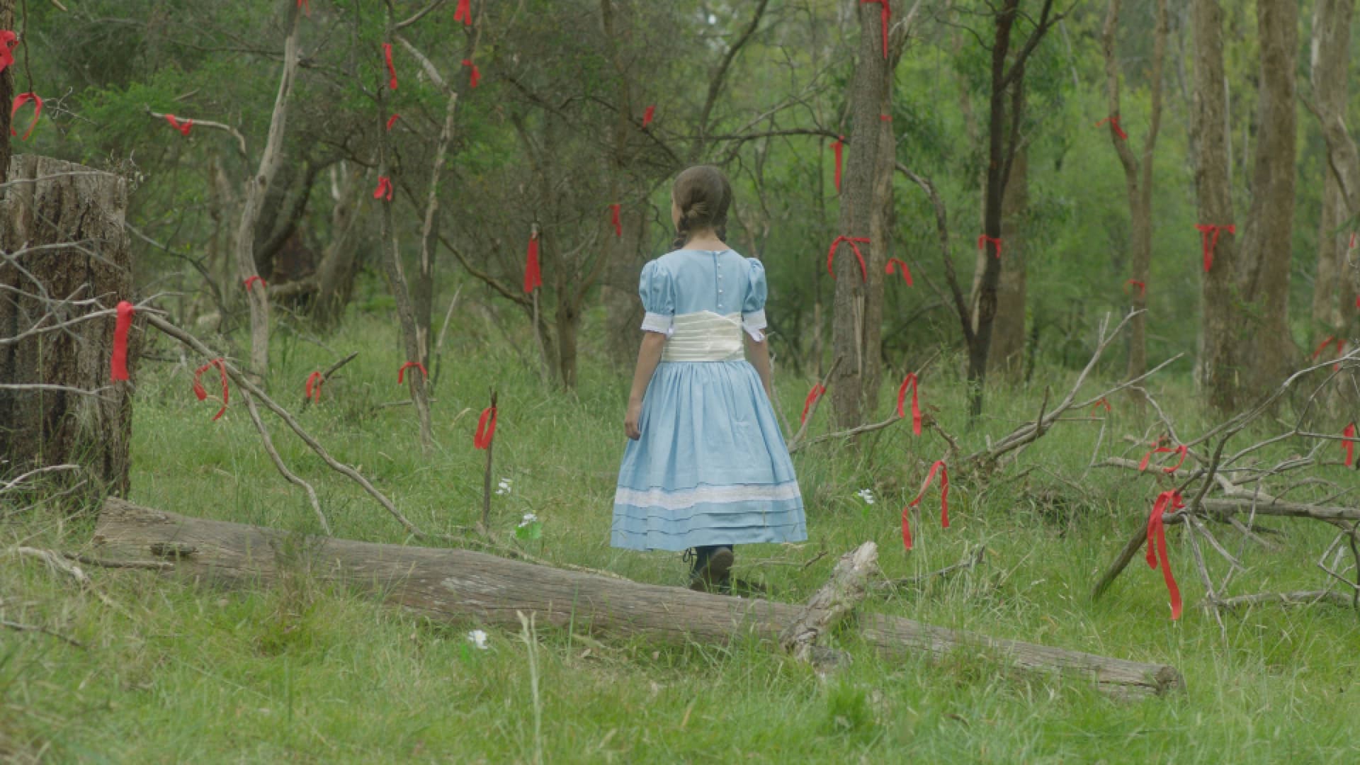 Following the Ribbon Trail