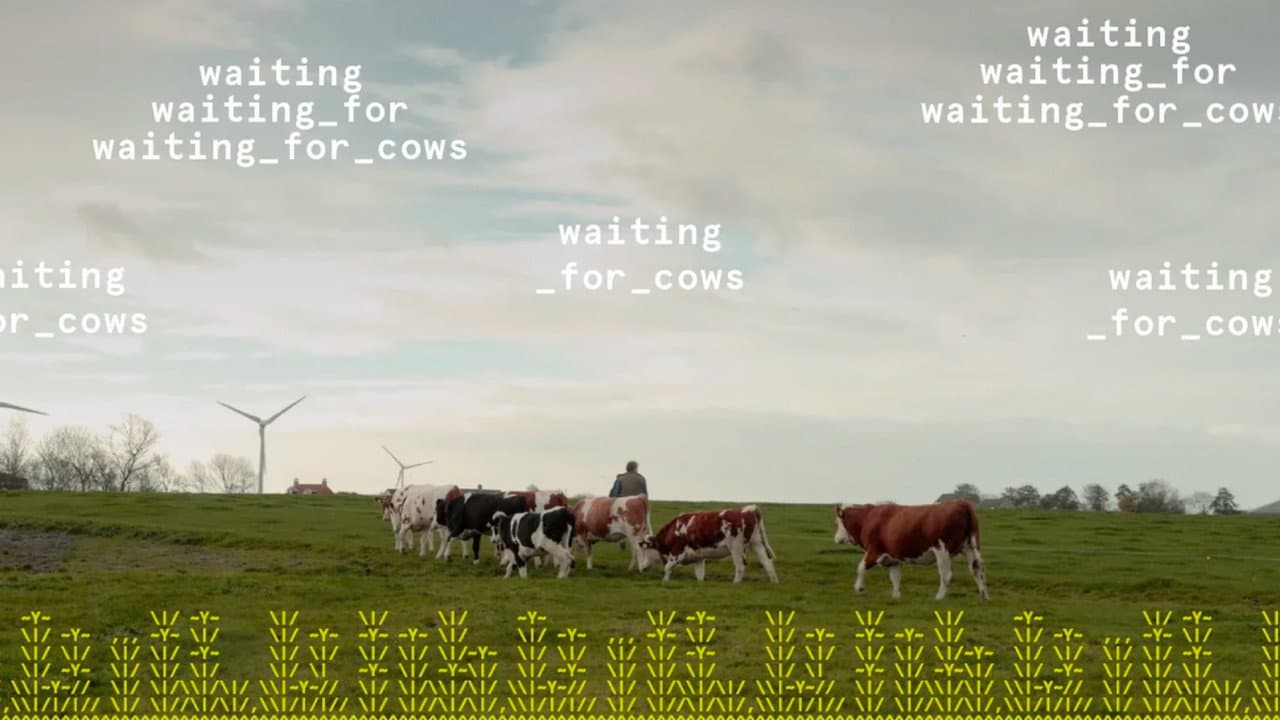waiting_for_cows