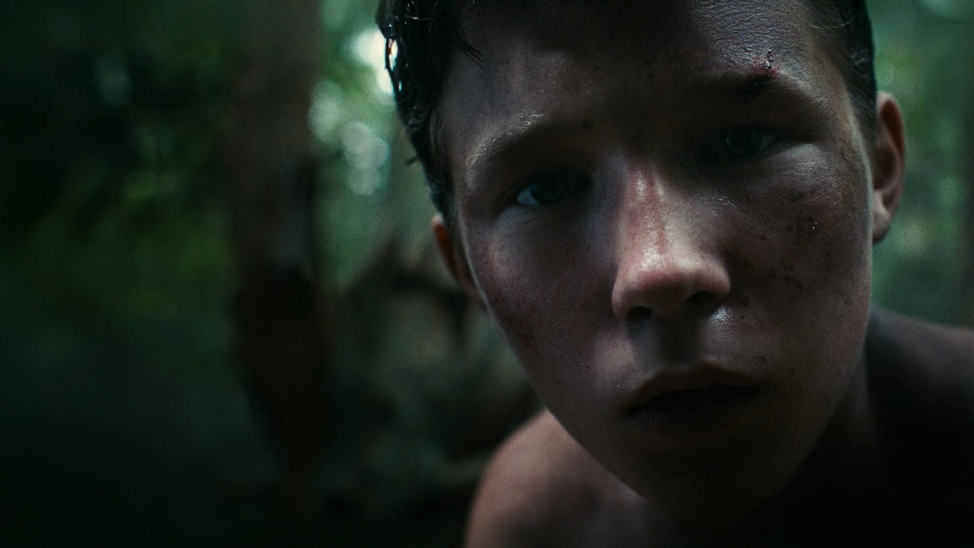 Lost on a Mountain in Maine