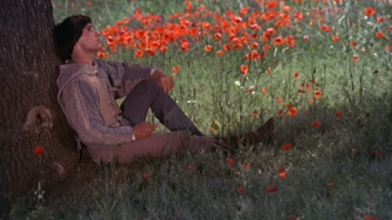 Ay ve Güneş Kardeşler