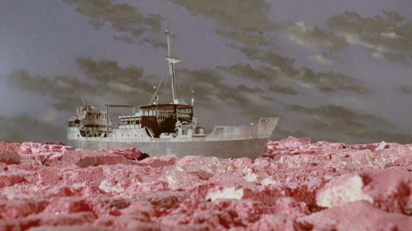 Stingray: Pink Ice