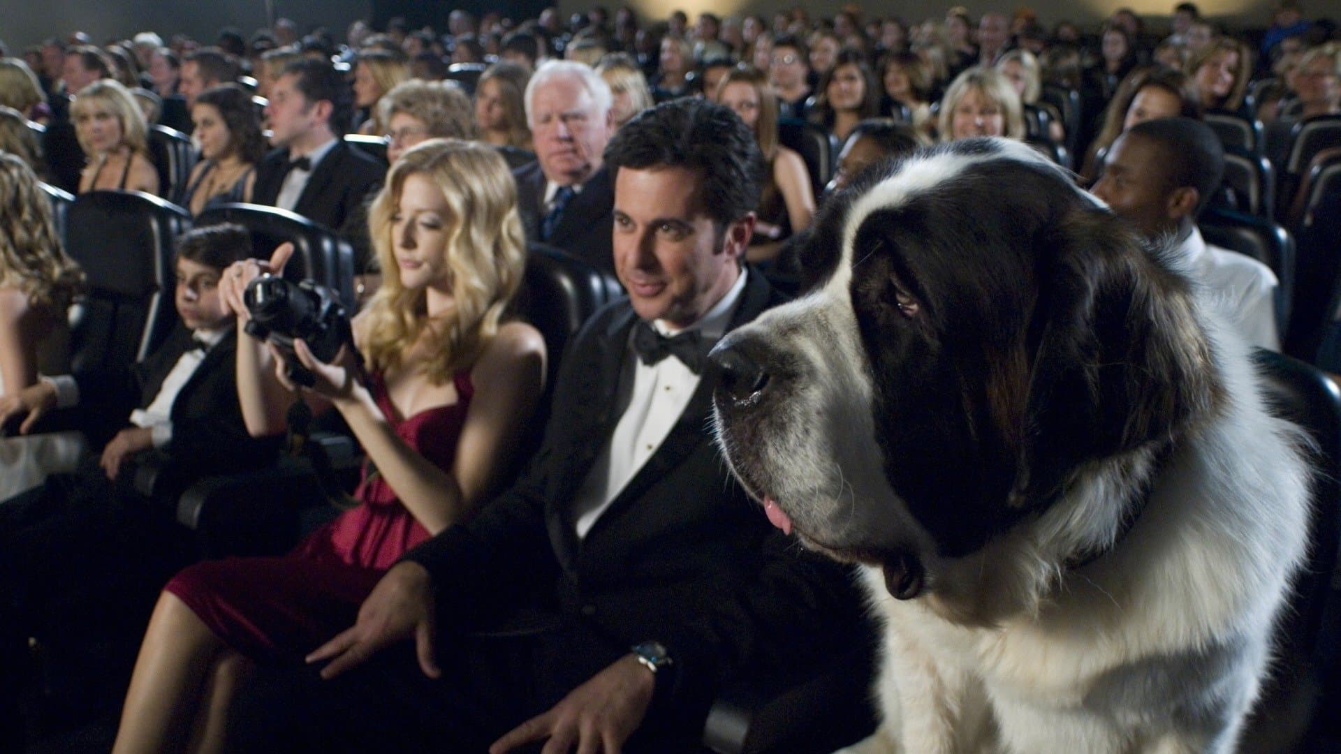 Beethoven: Kırmızı Halıda