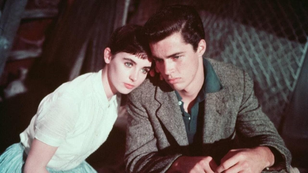 Anne Frank'in Hatıra Defteri