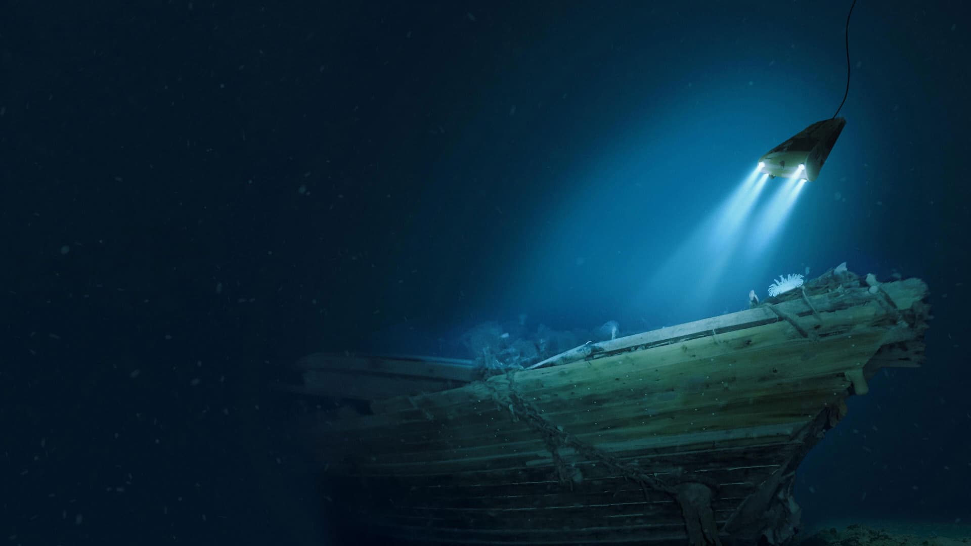 Batık Gemi Endurance