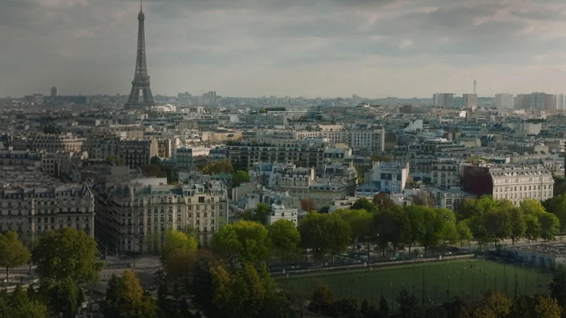 Le Suicide Francais