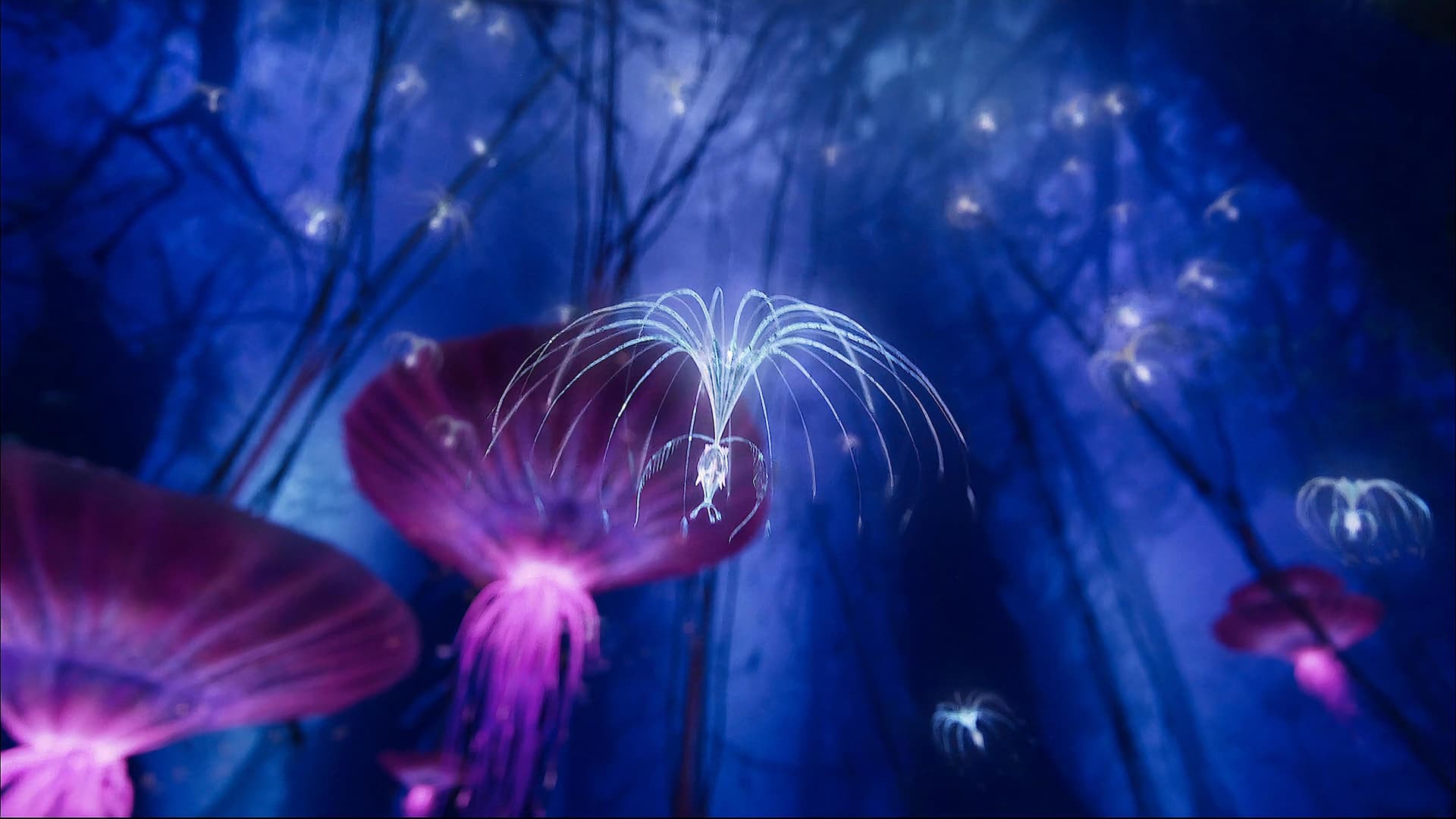 Avatar: Creating the World of Pandora