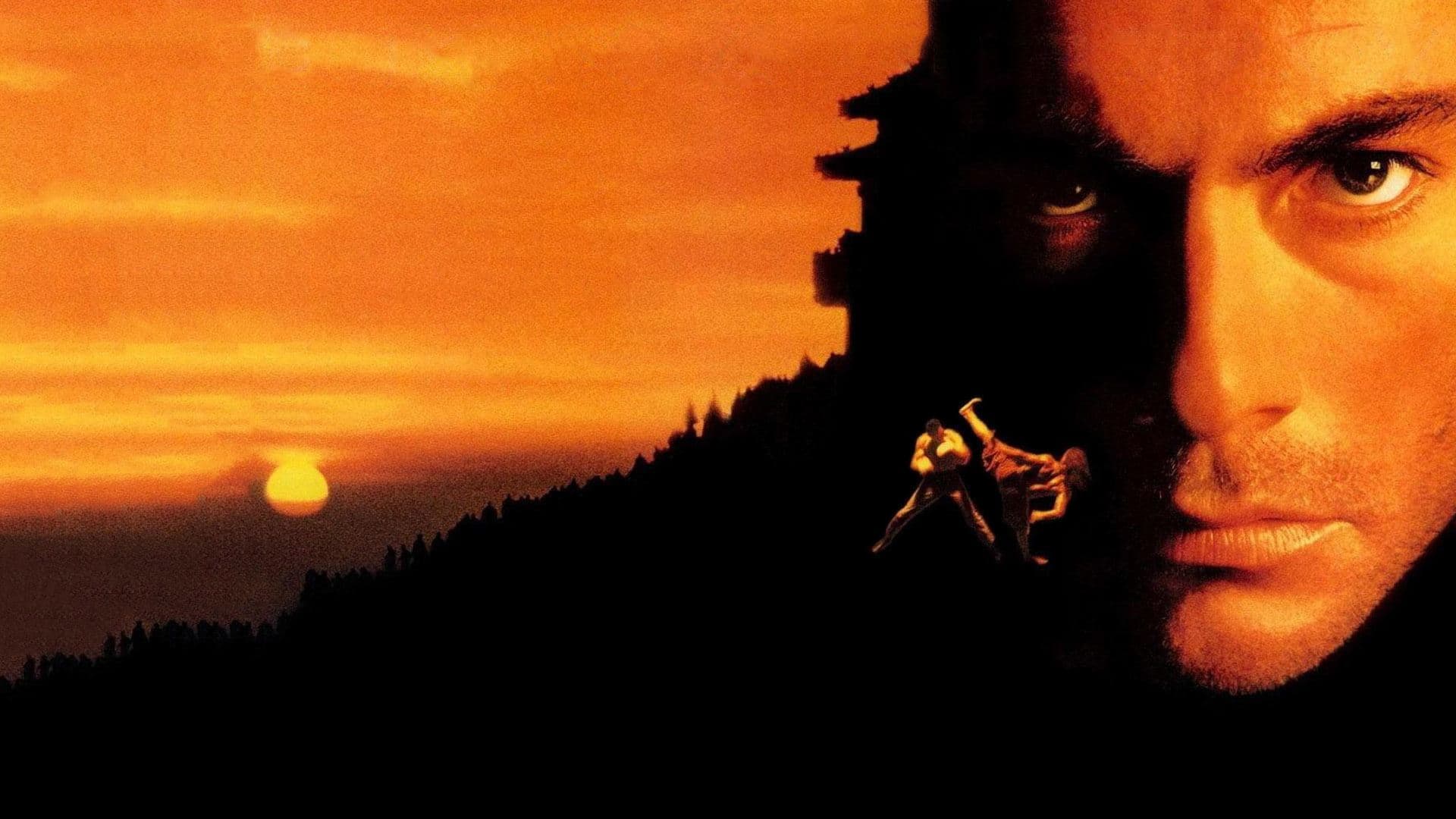 Özgürlük Savaşçısı