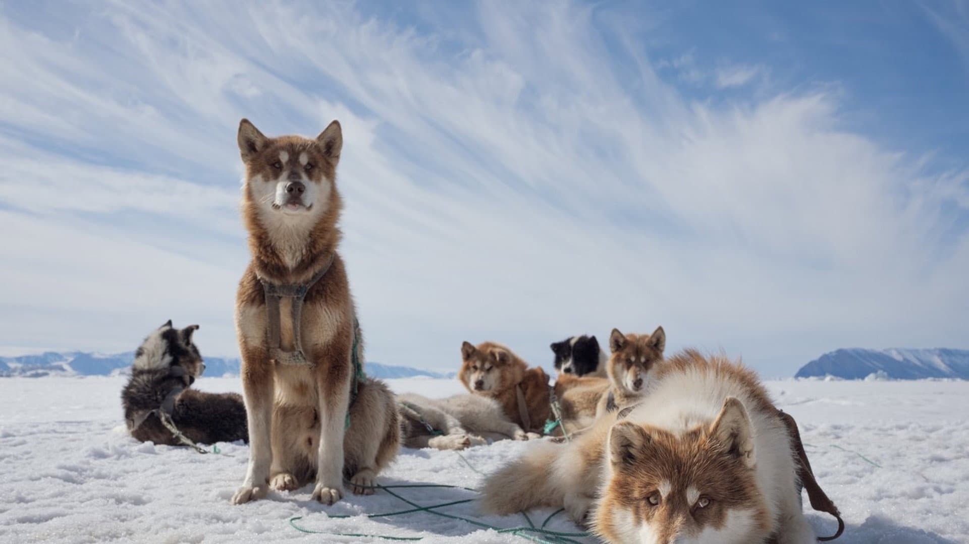 Arctic Circle