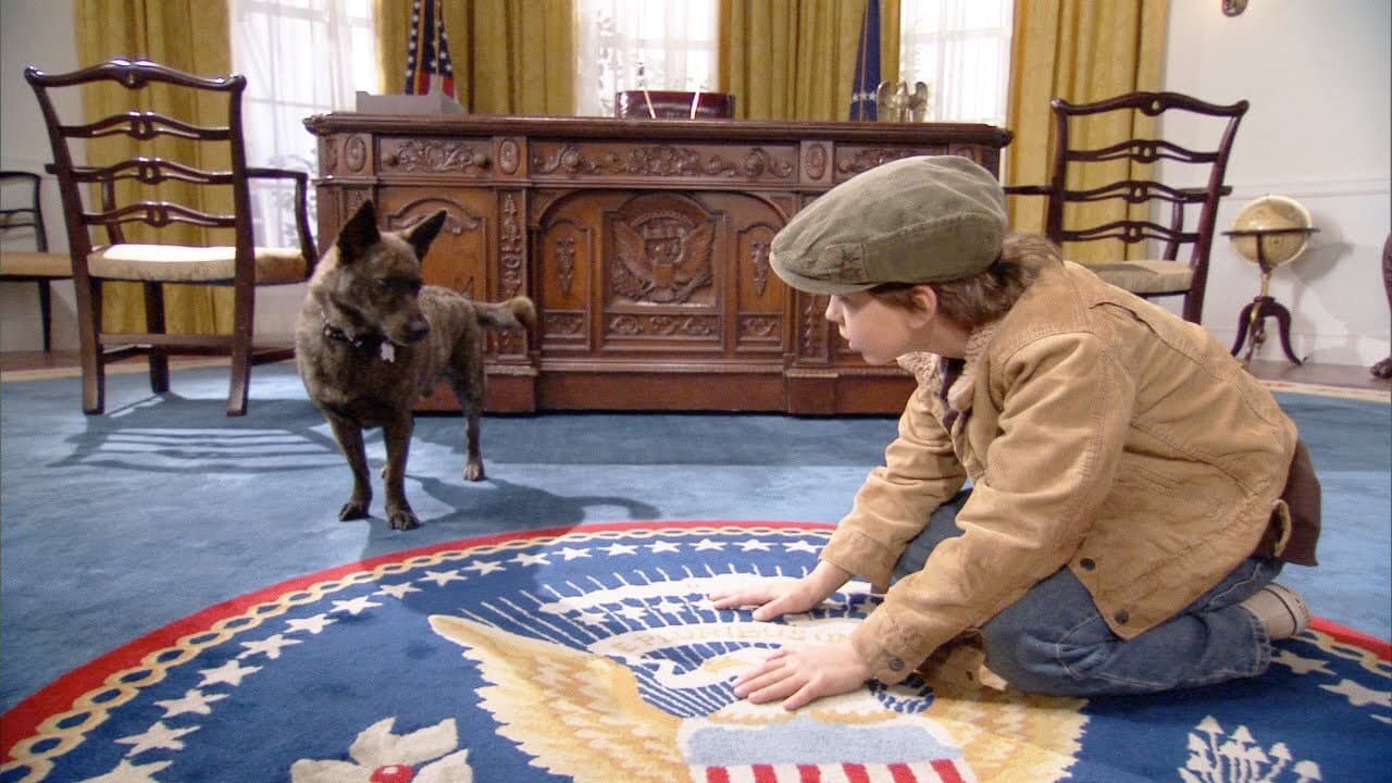 Başkan'ın Köpeği