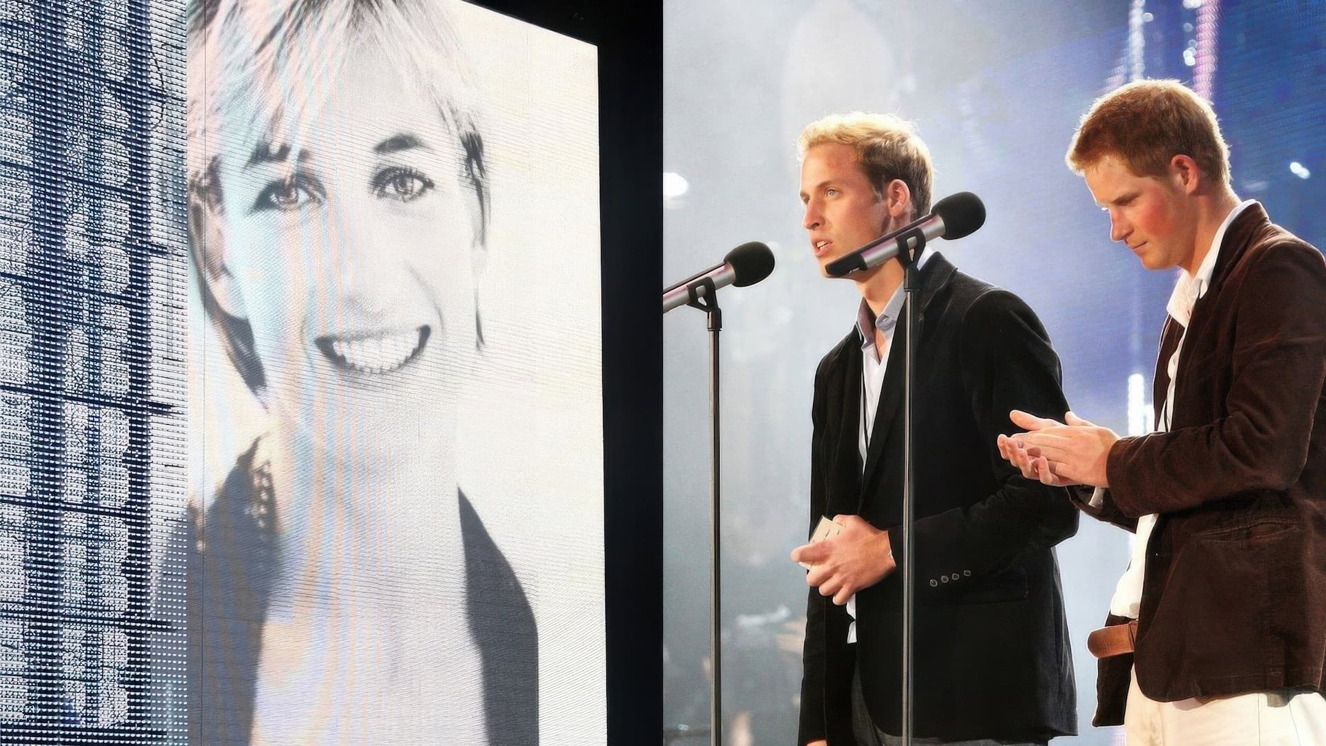 Concert for Diana