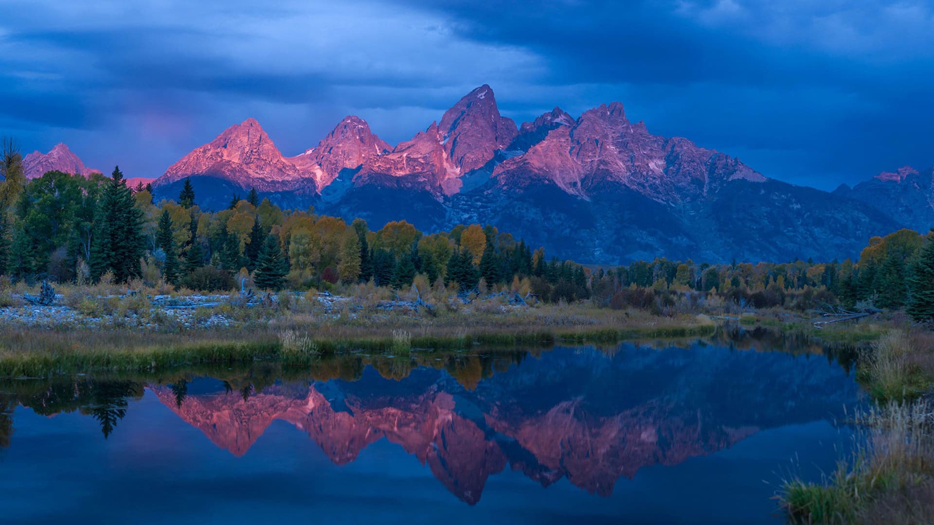 Vahşi Yolculuk: Yellowstone