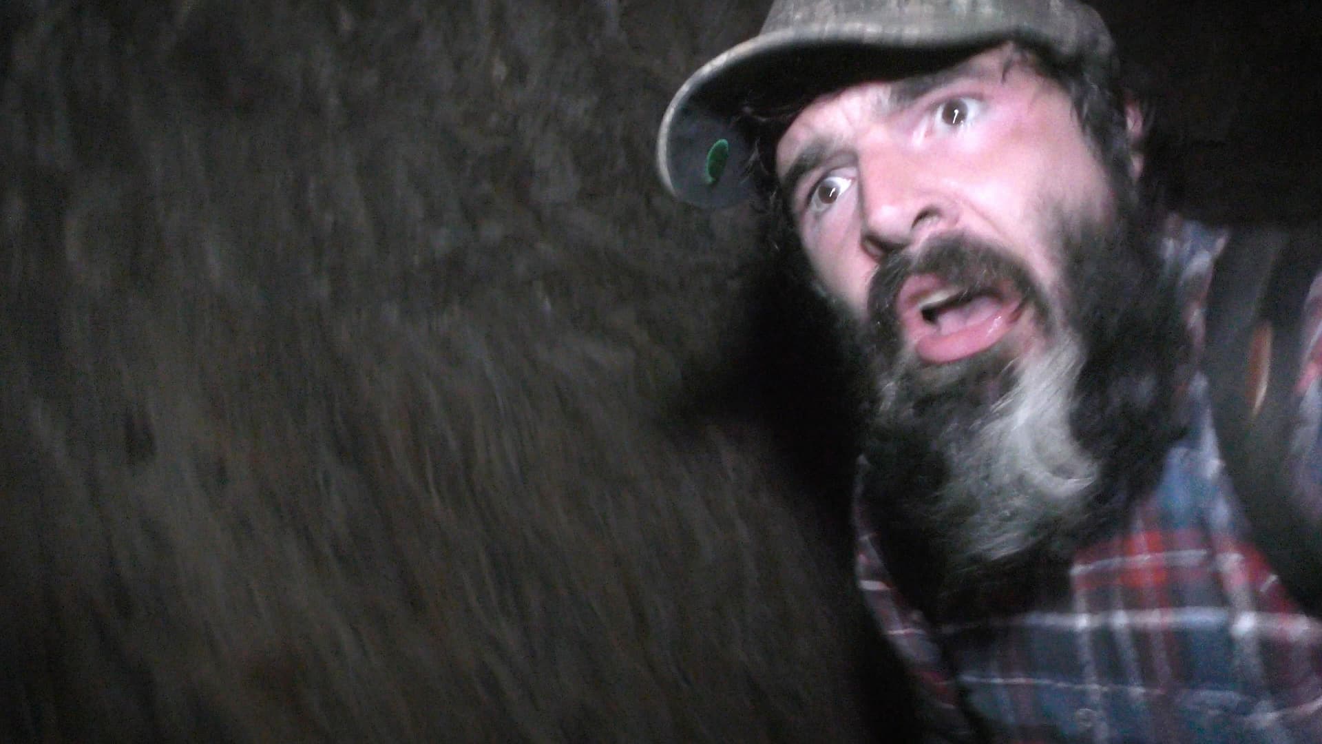 Wilderness Tapes: Volume One