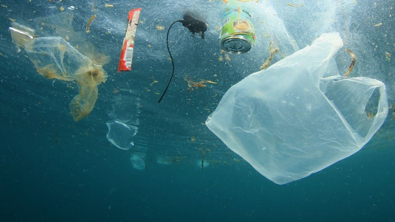Plastik Okyanus
