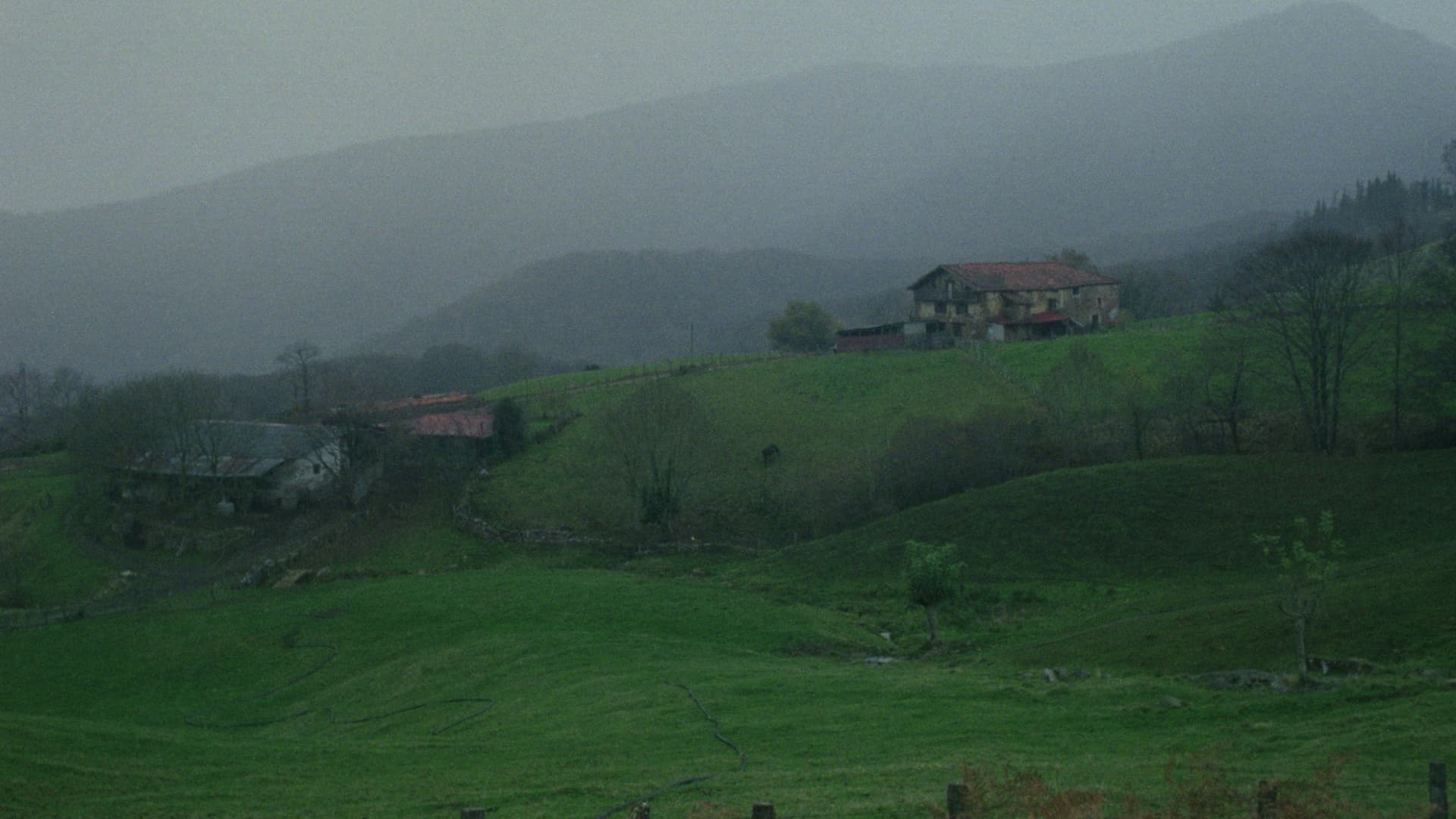 Larrua Jo