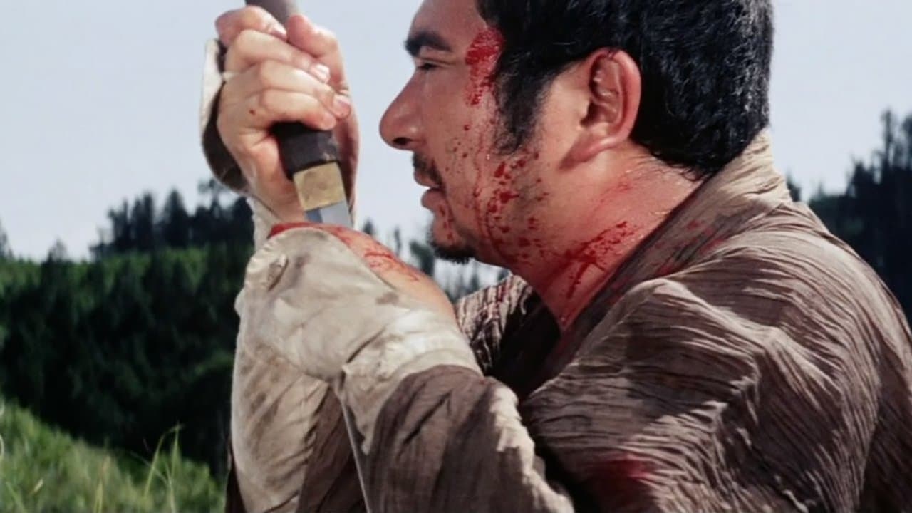 Zatoichi Haydut
