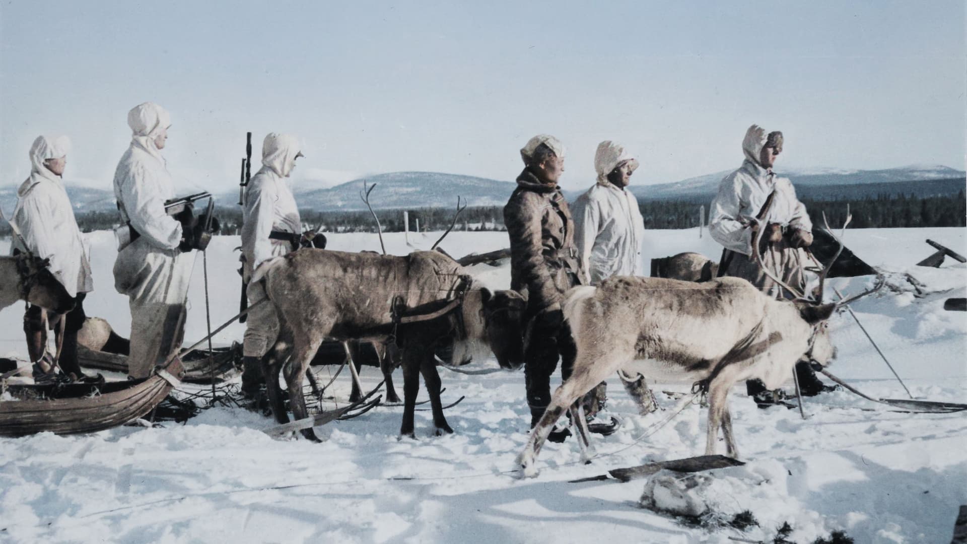 Vaietut arktiset sodat