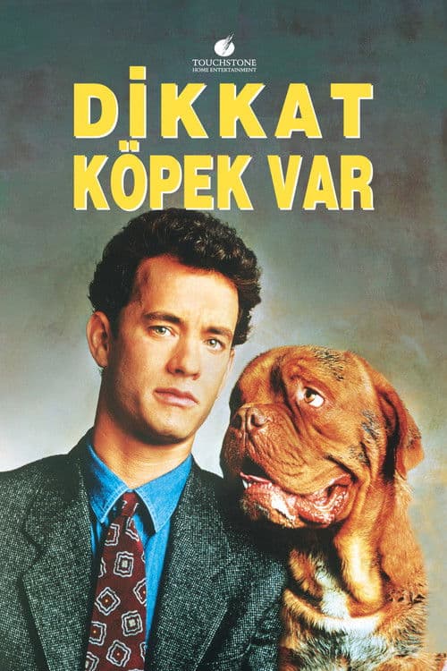 Dikkat Köpek Var
