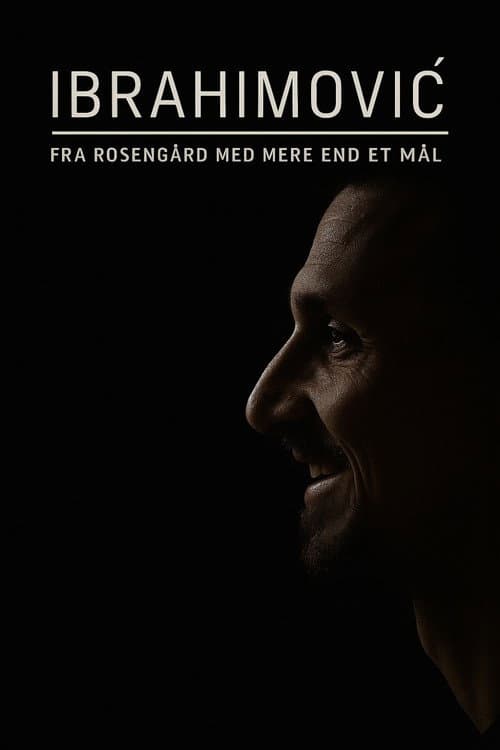 Ibrahimovic - Från Rosengård med mer än ett mål