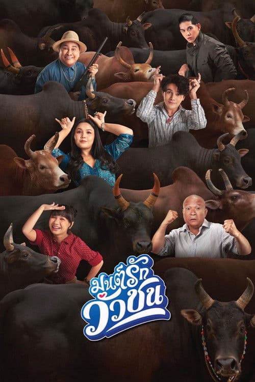 มนต์รักวัวชน