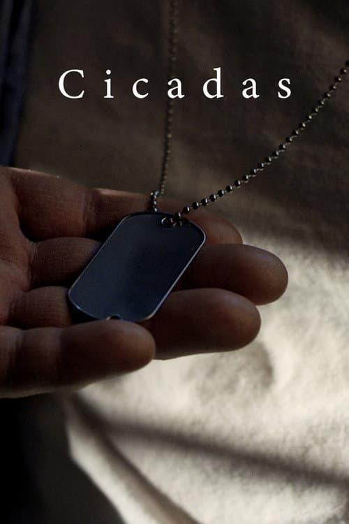 Cicadas