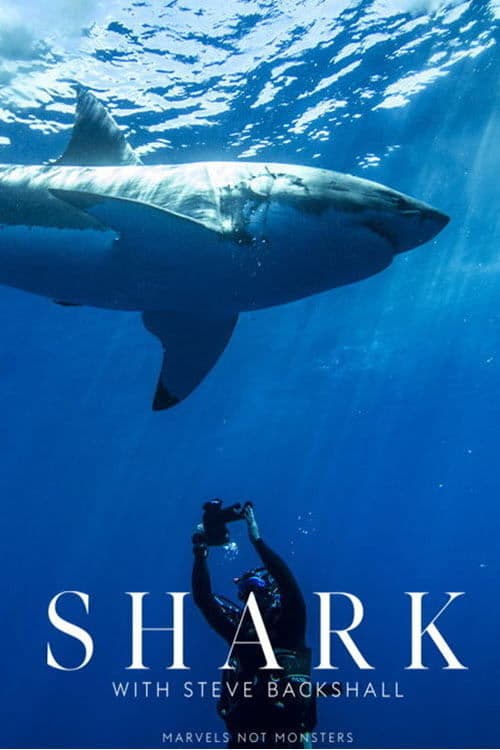 Canavarlarla Yüzmek: Steve Backshall