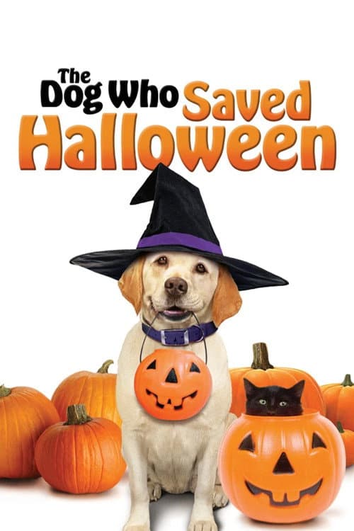 Cadılar Bayramı'nı Kurtaran Köpek