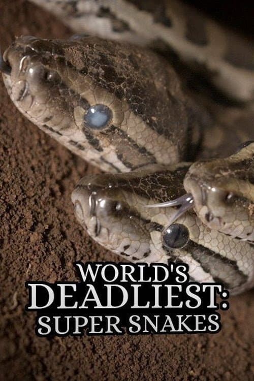 World's Deadliest: Super Snakes