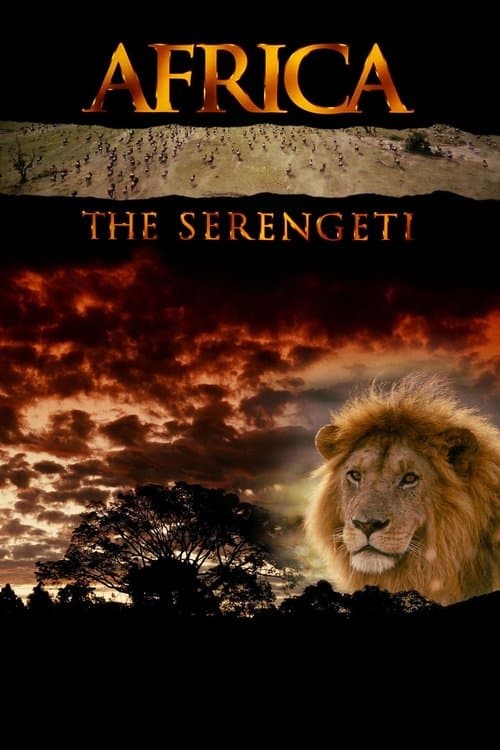 Afrika: Serengeti