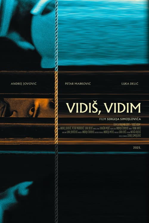 Vidis, vidim