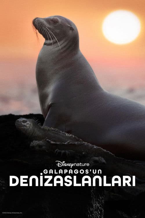 Galapagos'un Denizaslanları