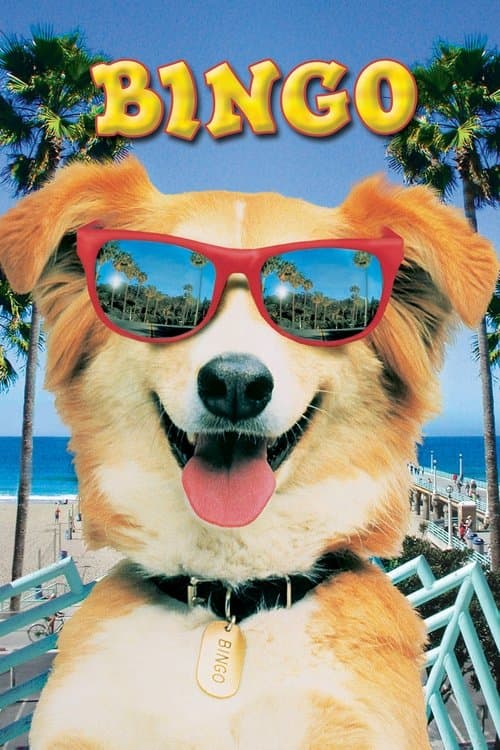 Kahraman Köpek Bingo