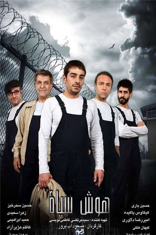 هوش سیاه