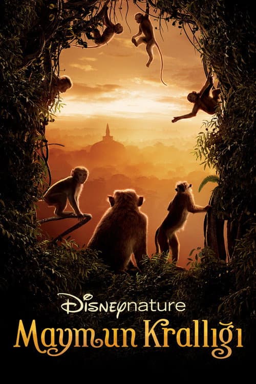 Maymun Krallığı