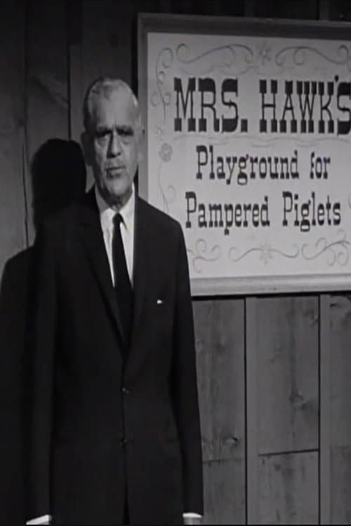 The Remarkable Mrs. Hawk