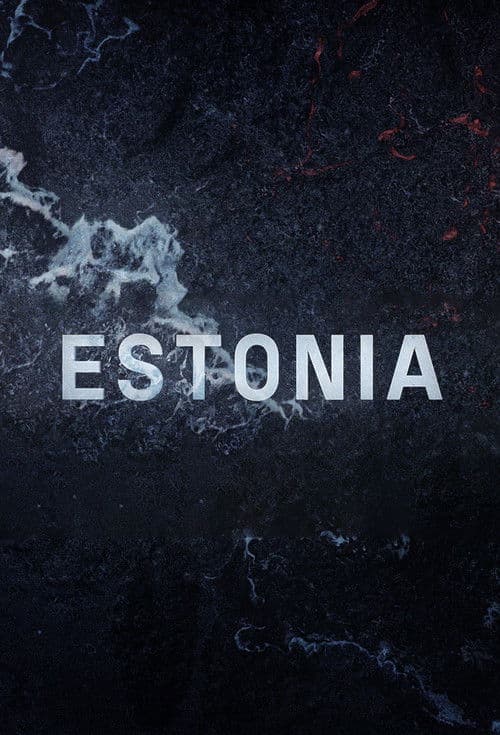 Estonya Feribot Faciası: Yeni Dosya