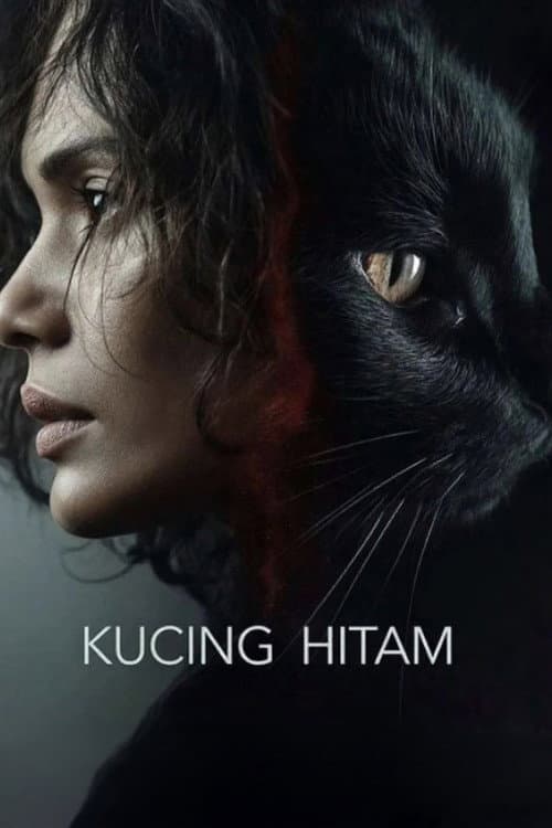 Kucing Hitam