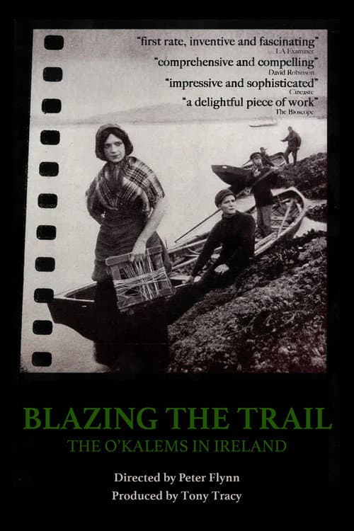 Blazing the Trail: The O'Kalems in Ireland