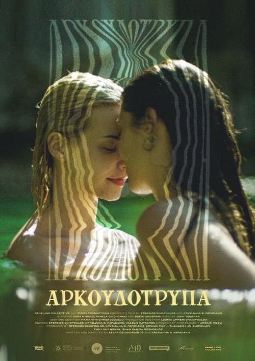 Αρκουδότρυπα