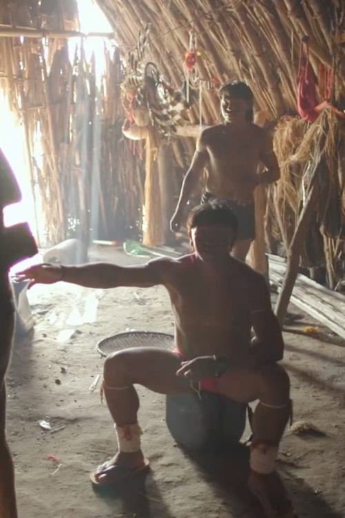 Arquivo Vivo