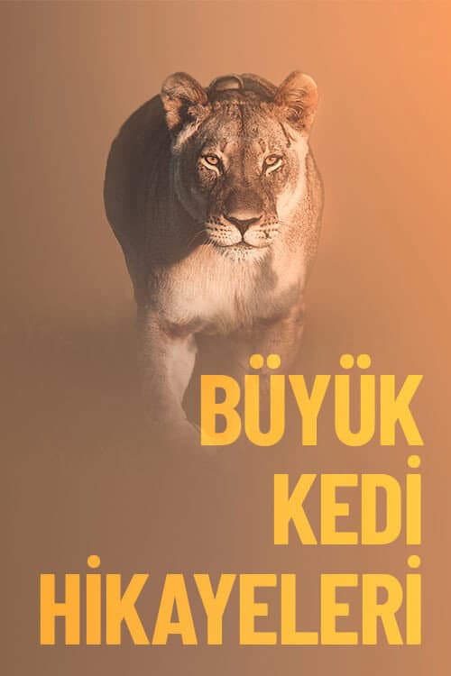 Büyük Kedi Hikayeleri