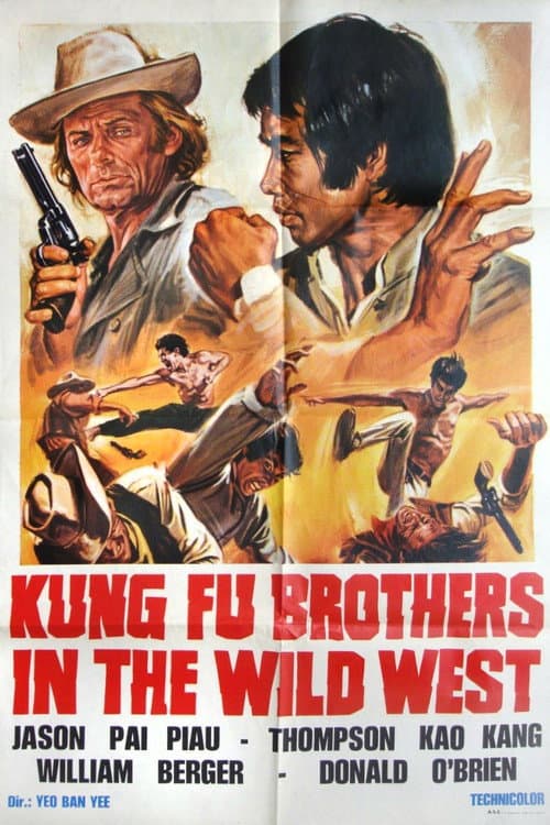 Kung Fu nel pazzo west