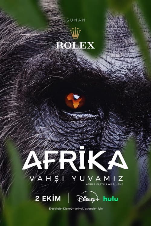 Afrika: Vahşi Yuvamız