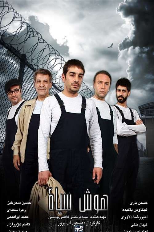 هوش سیاه