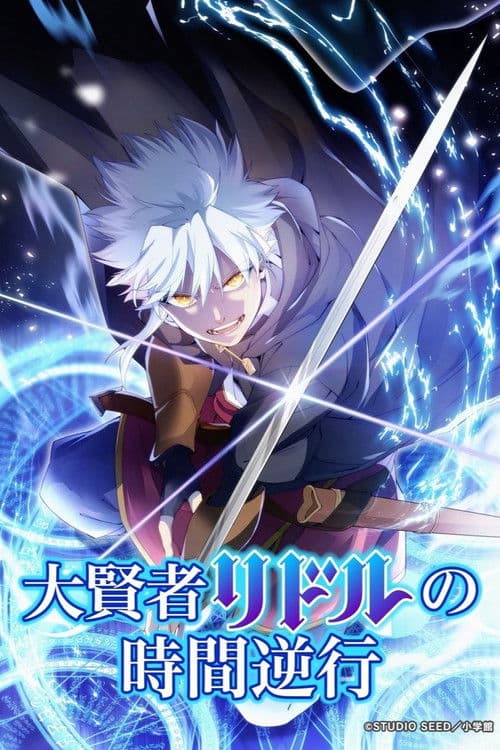 大賢者リドルの時間逆行